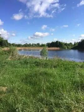 Участок в Брянская область, Навлинский район, Синезерское с/пос, с. ...