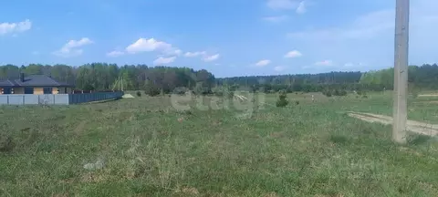 Участок в Брянская область, Брянский район, Новодарковичское с/пос, д. ...