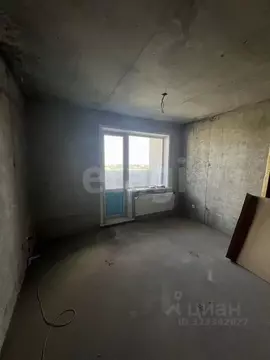 Студия Новосибирская область, Новосибирск Беловежская ул., 50 (27.3 м)