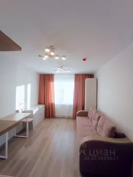 Студия Санкт-Петербург ул. Пахомовская, 8к3 (20.3 м)