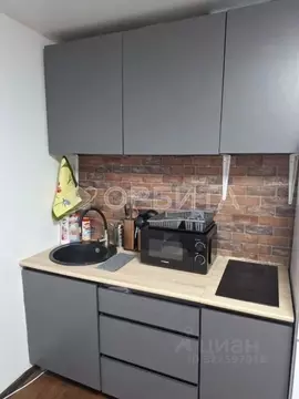 Студия Тюменская область, Тюмень ул. Бабарынка, 16а (16.7 м)