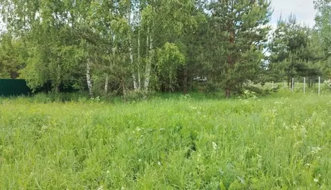 Участок в Московская область, Орехово-Зуевский городской округ, д. ...