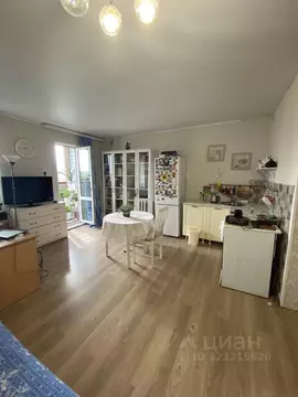 Студия Челябинская область, Сосновский муниципальный округ, Поселок ...