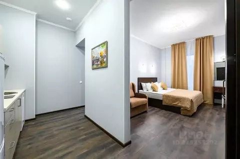 2-к кв. Санкт-Петербург Пушкинская ул., 16 (55.0 м)