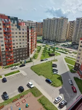 Студия Ленинградская область, Мурино Всеволожский район, ул. Шоссе в ...