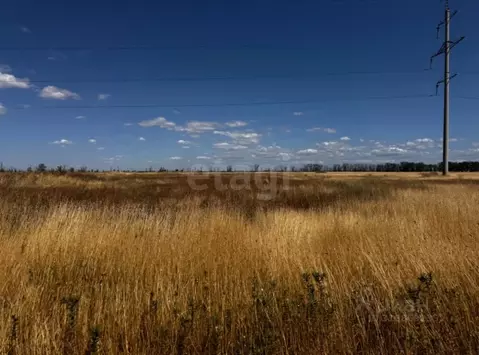 Участок в Крым, Симферопольский район, Николаевское с/пос, с. ...