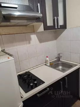 1-к кв. Москва ул. Кубинка, 15К2 (22.0 м)
