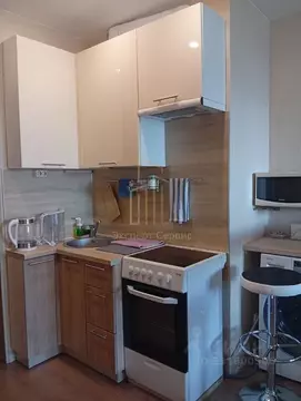 Студия Санкт-Петербург просп. Маршала Блюхера, 8к1 (23.8 м)