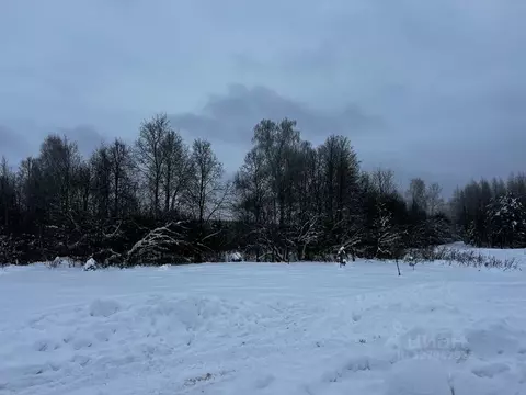Участок в Московская область, Ступино городской округ, с. Хатунь  (8.1 ...