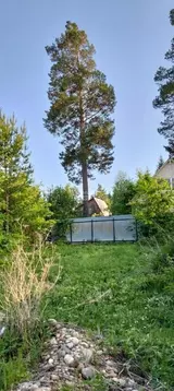 Участок в Иркутская область, Иркутский муниципальный округ, Радуга СНТ ...