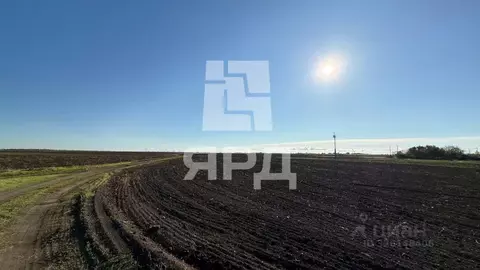 Участок в Ростовская область, Неклиновский район, с. Троицкое ...