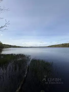 Участок в Ленинградская область, Выборгский район, Полянское с/пос, ...