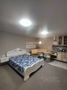 Студия Московская область, Яхрома Дмитровский муниципальный округ, ...