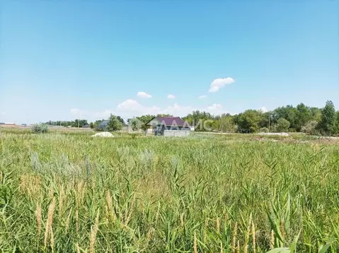 Участок в Волгоградская область, Краснослободск Среднеахтубинский ...