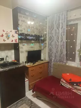 Студия Красноярский край, Красноярск ул. Сергея Лазо, 34 (15.0 м)