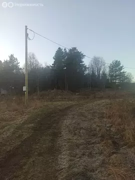 Участок в посёлок Зайцево, Лесная улица (22 м)