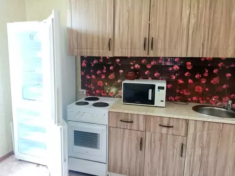 1-к кв. Алтайский край, Барнаул ул. Солнечная Поляна, 99Б (35.0 м)