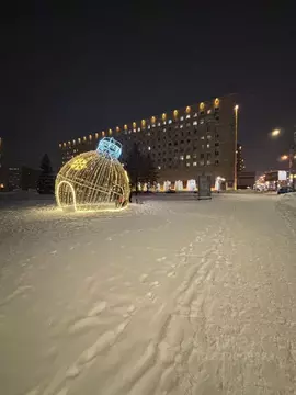 3-к кв. Архангельская область, Архангельск пл. Ленина, 2 (58.2 м)