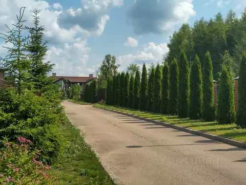 Участок в Московская область, Истра муниципальный округ, Лисавино кп ...