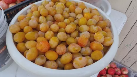 Дом в Башкортостан, Уфимский район, Михайловский сельсовет, Изыскатель ...