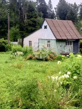 Участок в Московская область, Химки городской округ, пос. Лунево ул. ...
