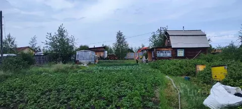 Дом в Саха (Якутия), Якутск ул. Лобановка (40 м)