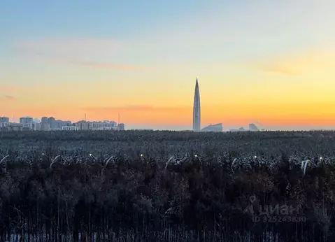 Студия Санкт-Петербург ул. Плесецкая, 2 (28.0 м)