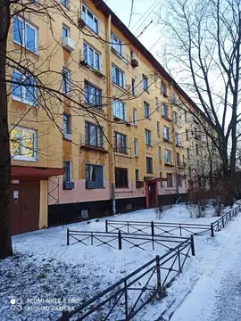 3-к кв. Санкт-Петербург просп. Народного ополчения, 113 (41.6 м)