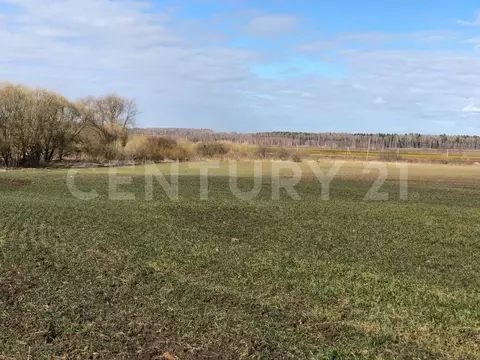 Участок в Калужская область, Малоярославецкий район, Кудиново с/пос, ...