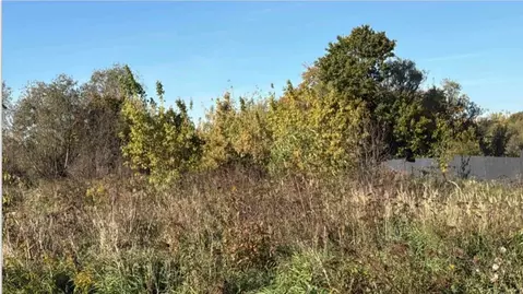 Участок в Московская область, Кашира городской округ, д. Знаменское  ...