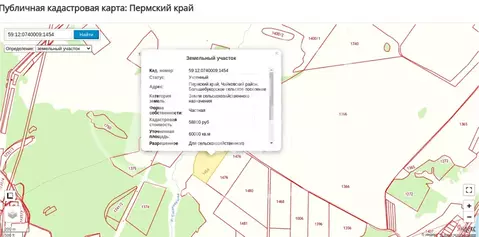 Участок в Пермский край, Чайковский городской округ, с. Большой Букор ...