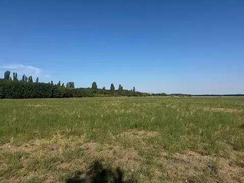 Участок в Крым, Кировский район, Журавское с/пос, с. Новопокровка  ...