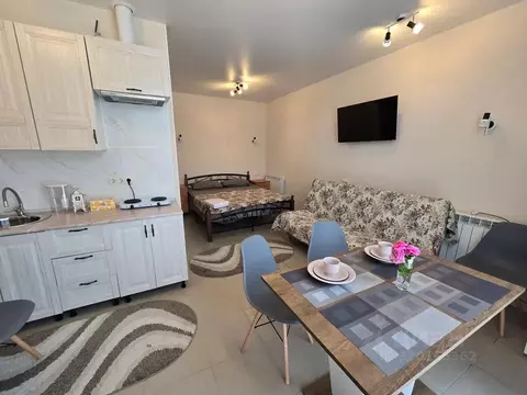 Студия Ставропольский край, Ессентуки ул. Возрождения, 5А (26.0 м)