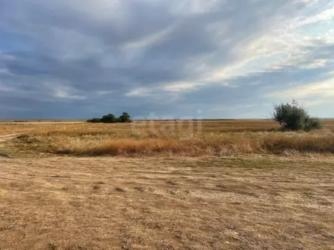 Участок в Крым, Черноморский район, с. Окуневка  (348.04 сот.)