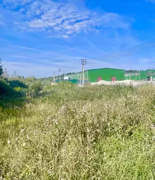 Участок в Московская область, Клин городской округ, д. Новощапово  ...