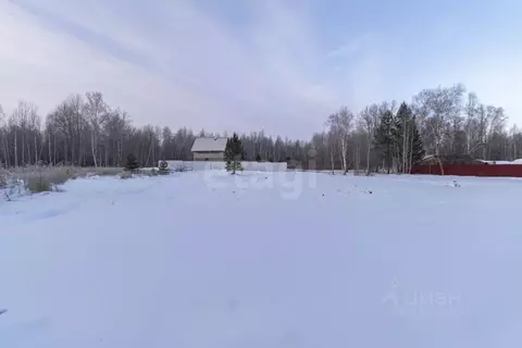 Участок в Тюменская область, Тюменский муниципальный округ, Нива СНТ ...