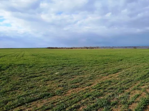 Участок в Крым, Сакский район, с. Штормовое  (8.2 сот.)