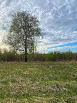 Участок в Тюменская область, Тюмень Русь садовое товарищество, ул. ...