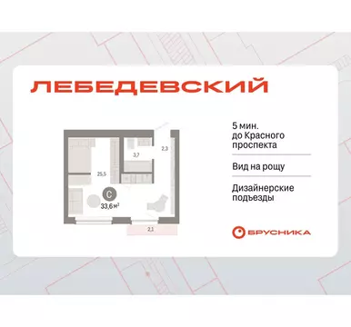 Квартира-студия: Новосибирск, квартал Лебедевский, 1/3 (33.6 м)