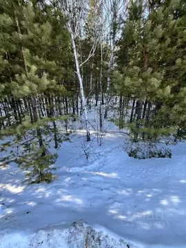 Участок в Курганская область, Кетовский муниципальный округ, пос. ...