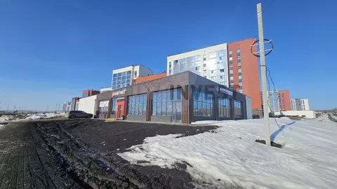 Помещение свободного назначения в Челябинская область, Челябинский ...