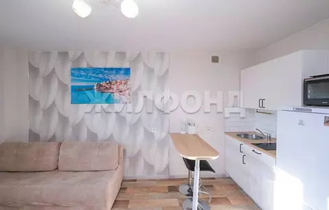 1-к кв. Новосибирская область, Новосибирск ул. Титова, 253/1 (28.0 м)