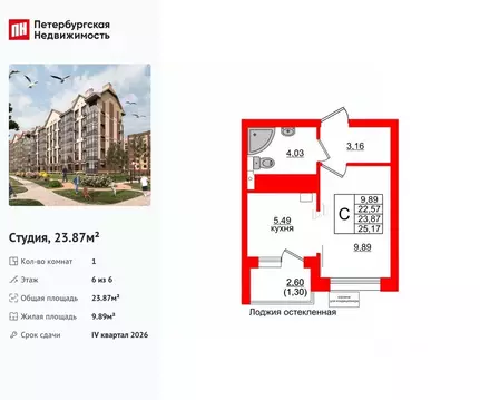 Студия Калининградская область, Светлогорск Майский проезд (23.87 м)