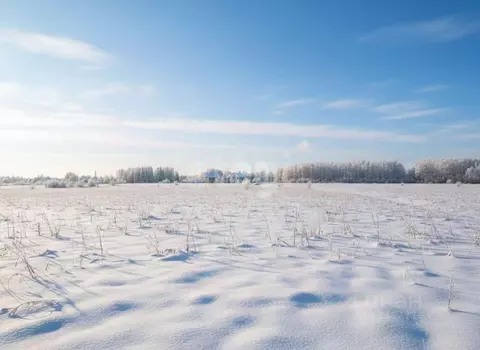 Участок, 10 сот., поселения (ижс)