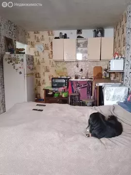 1-комнатная квартира: Артём, Михайловская улица, 5 (39.2 м)