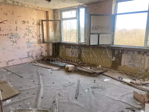 Офис в Санкт-Петербург Уральская ул., 1 (100 м)