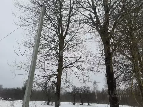 Участок в Псковская область, Островский район, Воронцовская волость, ...