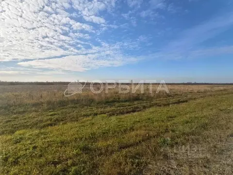 Участок в Тюменская область, Тюменский муниципальный округ, с. Щербак  ...