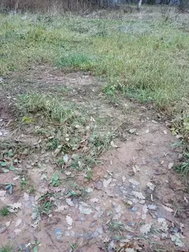 Участок в Ленинградская область, Ломоносовский район, Аннинское ...