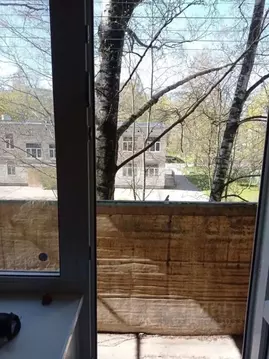 1-к кв. Санкт-Петербург ул. Вавиловых, 11К3 (30.0 м)